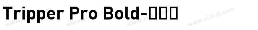 Tripper Pro Bold字体转换